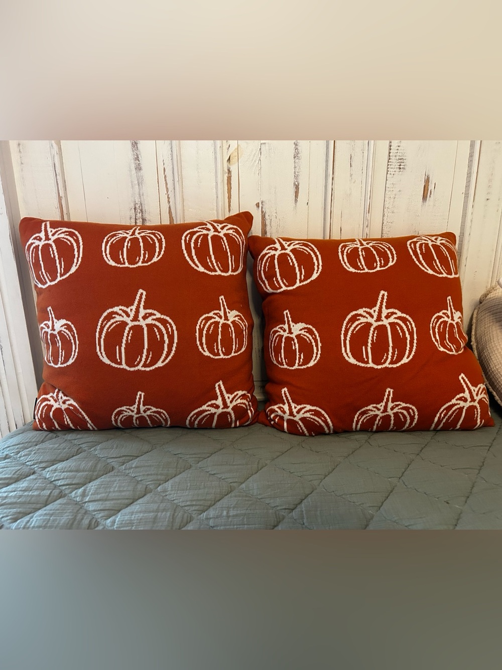 Pumpkin/Fall Throw Pillows 🎃 🤍